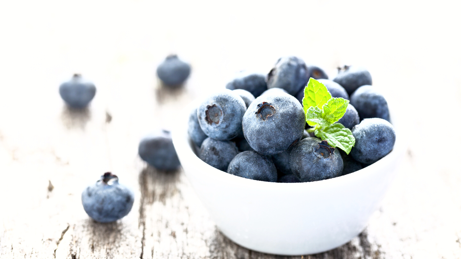 are blueberry toxic to dogs