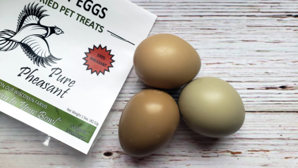 Los beneficios de los huevos crudos o liofilizados para perros