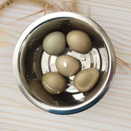 freeze dried whole pheasant eggs for dogs or cats